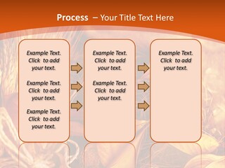 Agriculture Golden Closeup PowerPoint Template