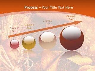 Agriculture Golden Closeup PowerPoint Template