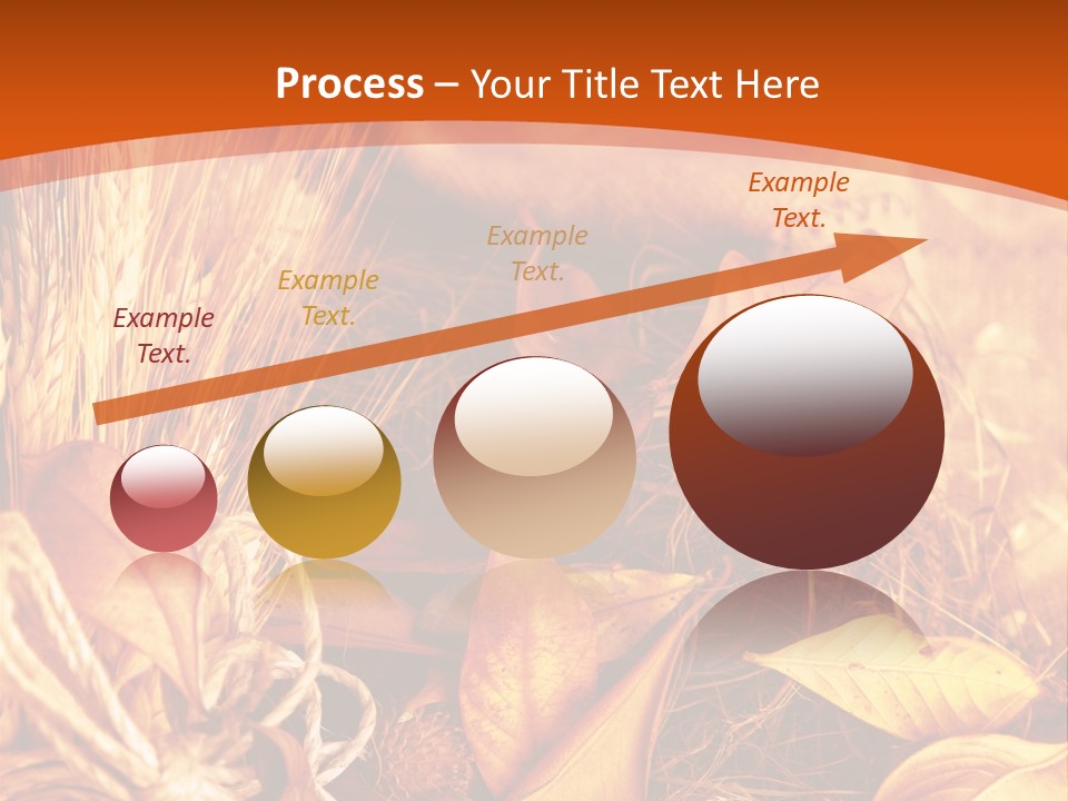 Agriculture Golden Closeup PowerPoint Template