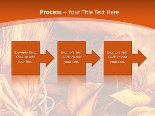Agriculture Golden Closeup PowerPoint Template