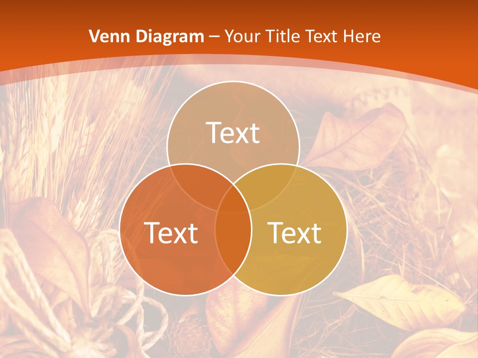 Agriculture Golden Closeup PowerPoint Template