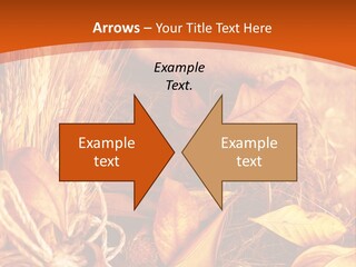 Agriculture Golden Closeup PowerPoint Template