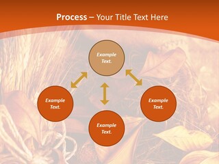 Agriculture Golden Closeup PowerPoint Template