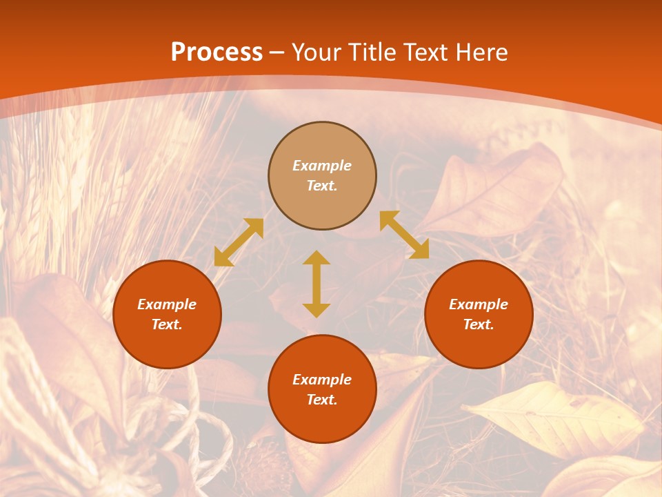 Agriculture Golden Closeup PowerPoint Template