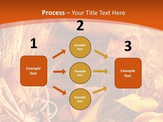 Agriculture Golden Closeup PowerPoint Template
