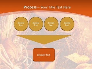 Agriculture Golden Closeup PowerPoint Template