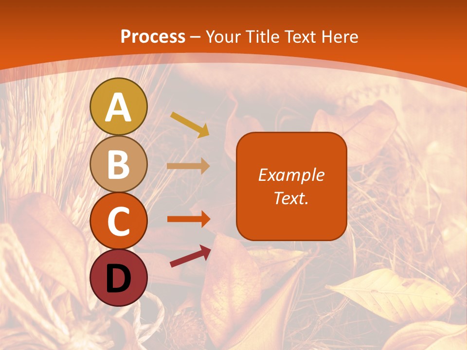 Agriculture Golden Closeup PowerPoint Template