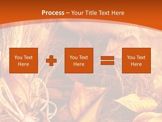 Agriculture Golden Closeup PowerPoint Template