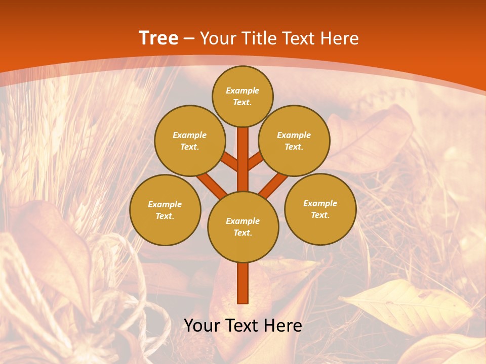Agriculture Golden Closeup PowerPoint Template