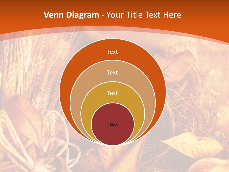 Agriculture Golden Closeup PowerPoint Template