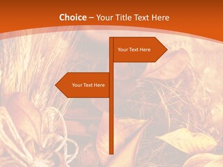 Agriculture Golden Closeup PowerPoint Template
