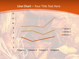 Agriculture Golden Closeup PowerPoint Template