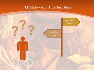 Agriculture Golden Closeup PowerPoint Template