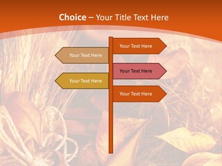 Agriculture Golden Closeup PowerPoint Template