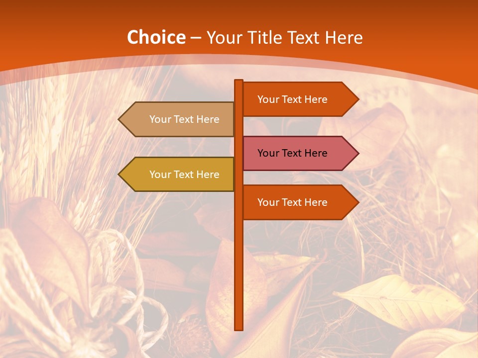 Agriculture Golden Closeup PowerPoint Template