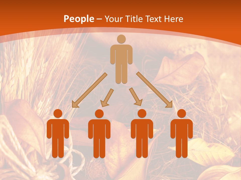 Agriculture Golden Closeup PowerPoint Template