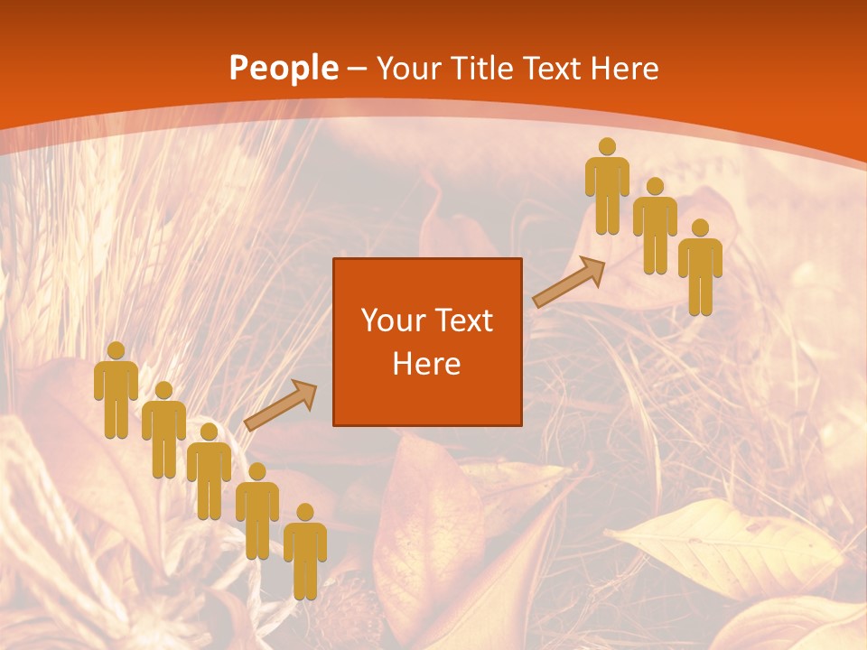 Agriculture Golden Closeup PowerPoint Template