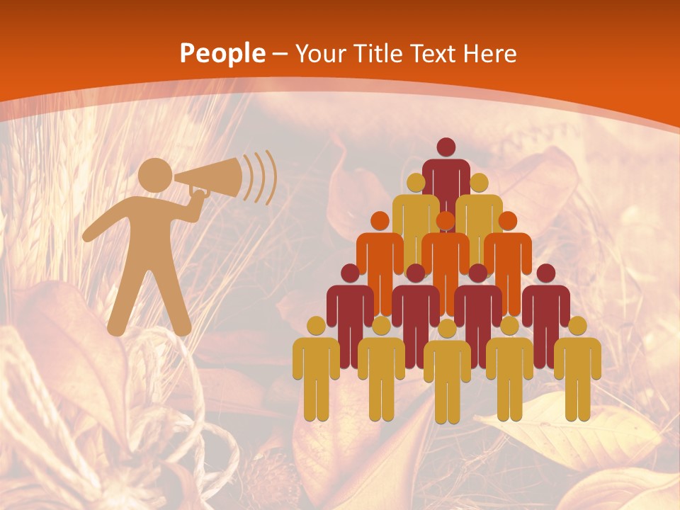 Agriculture Golden Closeup PowerPoint Template