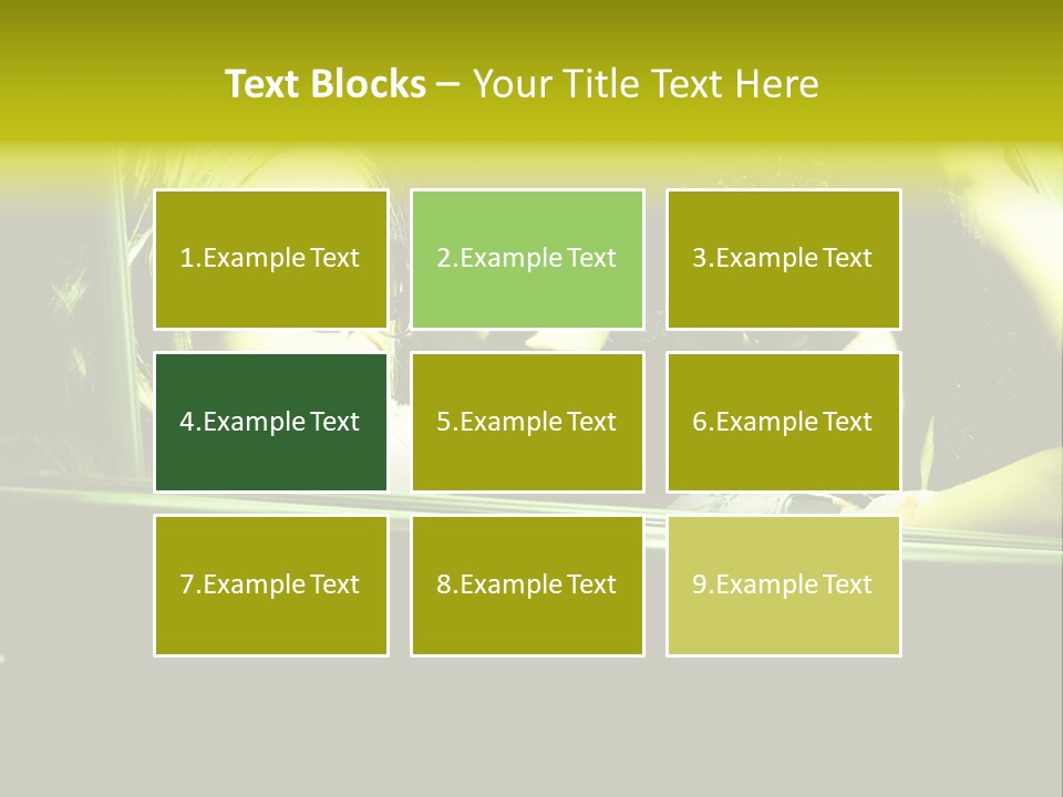 Top Beautiful Young PowerPoint Template