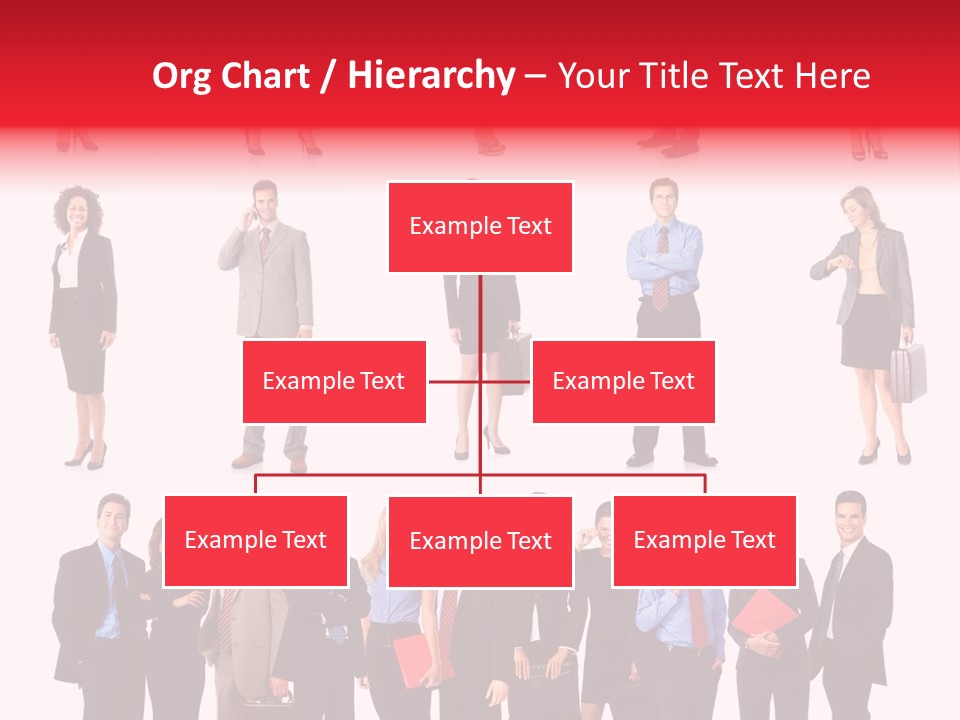 University Graduate  PowerPoint Template