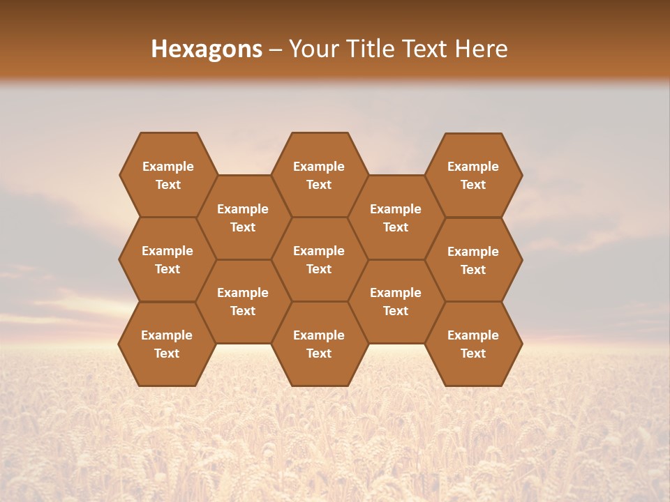 Farm Yellow Cornfield PowerPoint Template