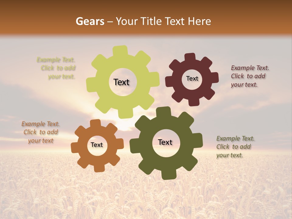 Farm Yellow Cornfield PowerPoint Template