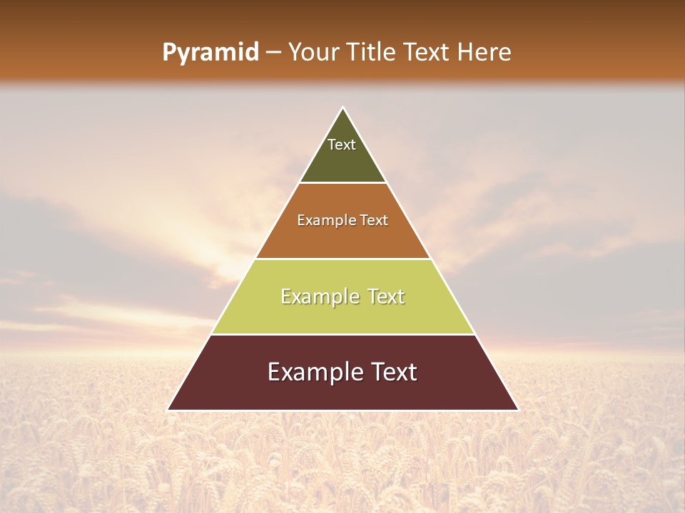 Farm Yellow Cornfield PowerPoint Template