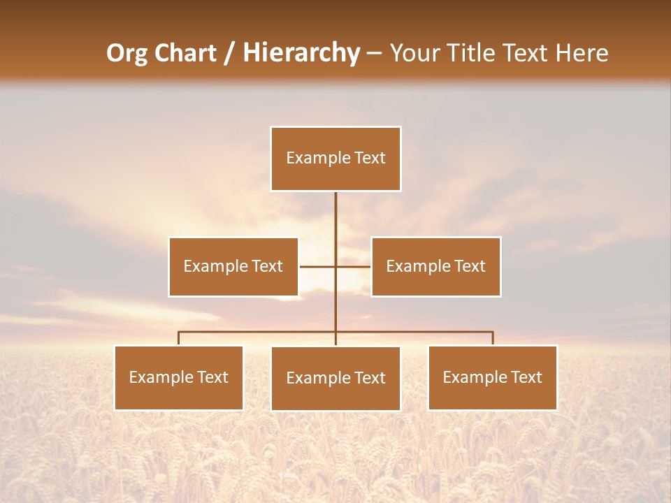 Farm Yellow Cornfield PowerPoint Template