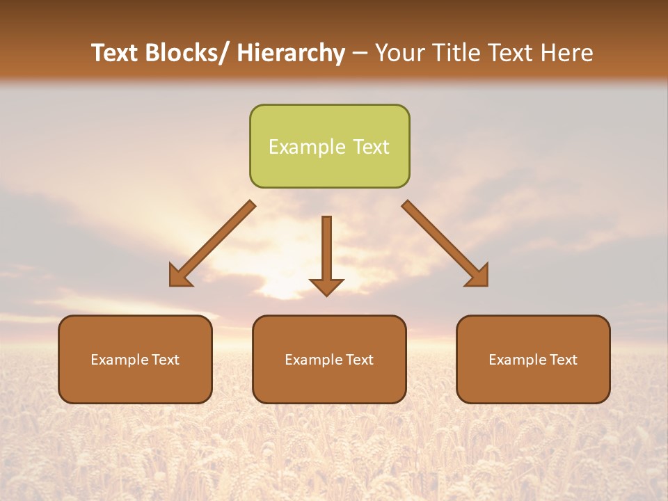 Farm Yellow Cornfield PowerPoint Template