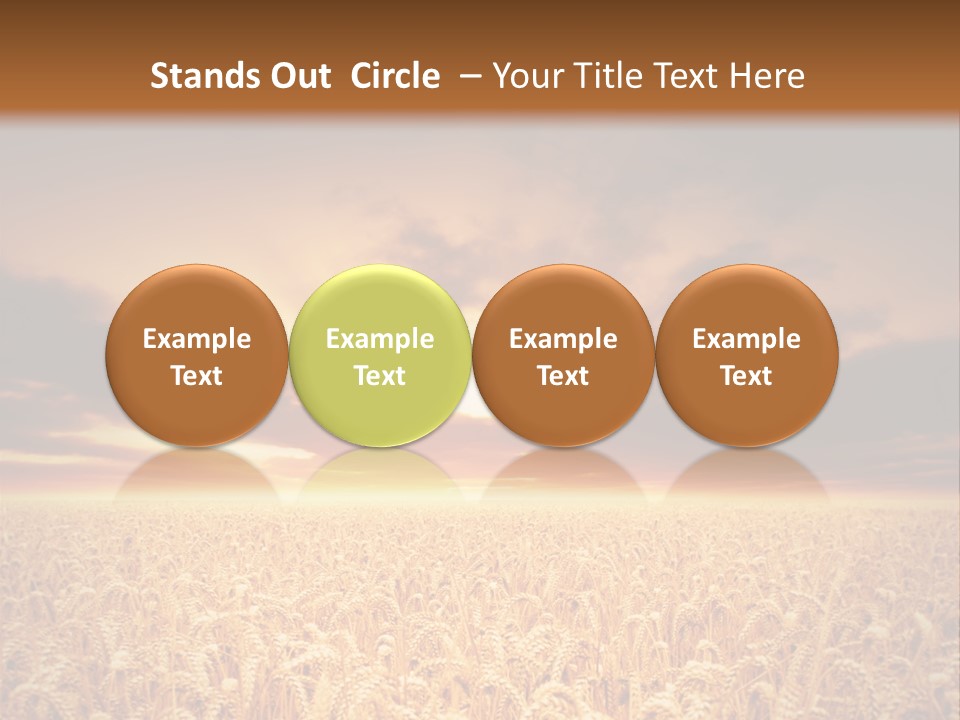 Farm Yellow Cornfield PowerPoint Template