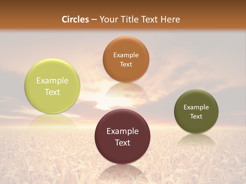 Farm Yellow Cornfield PowerPoint Template