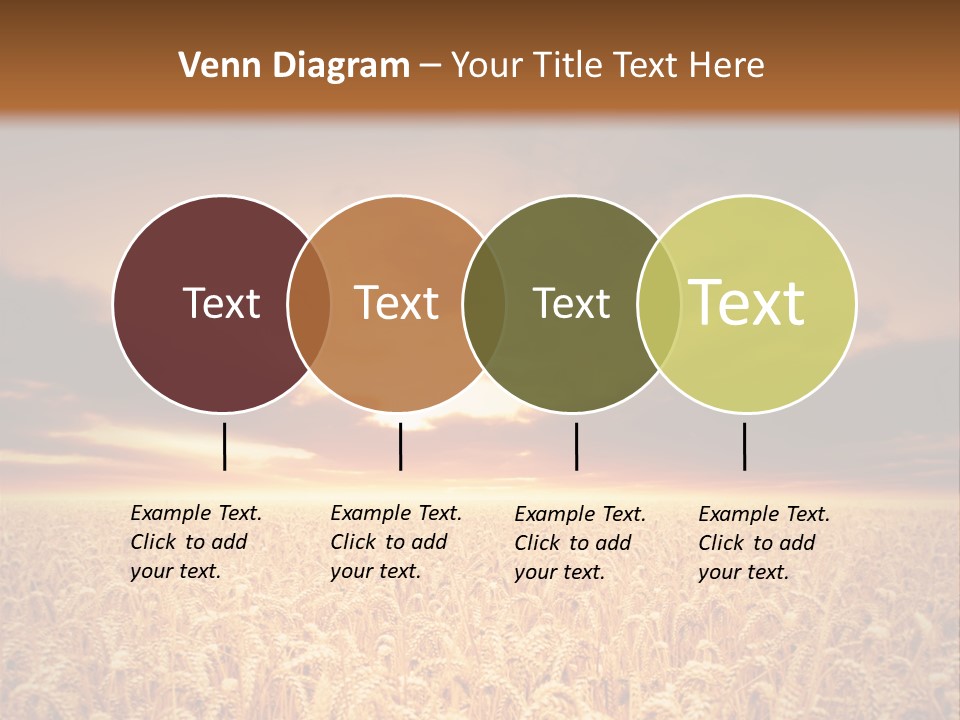 Farm Yellow Cornfield PowerPoint Template