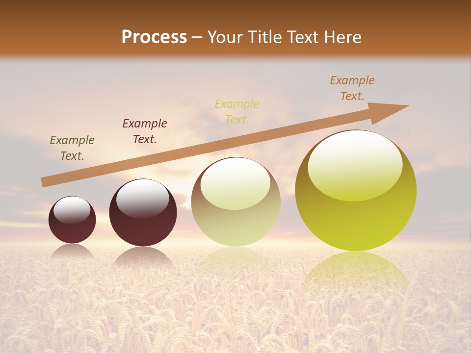 Farm Yellow Cornfield PowerPoint Template