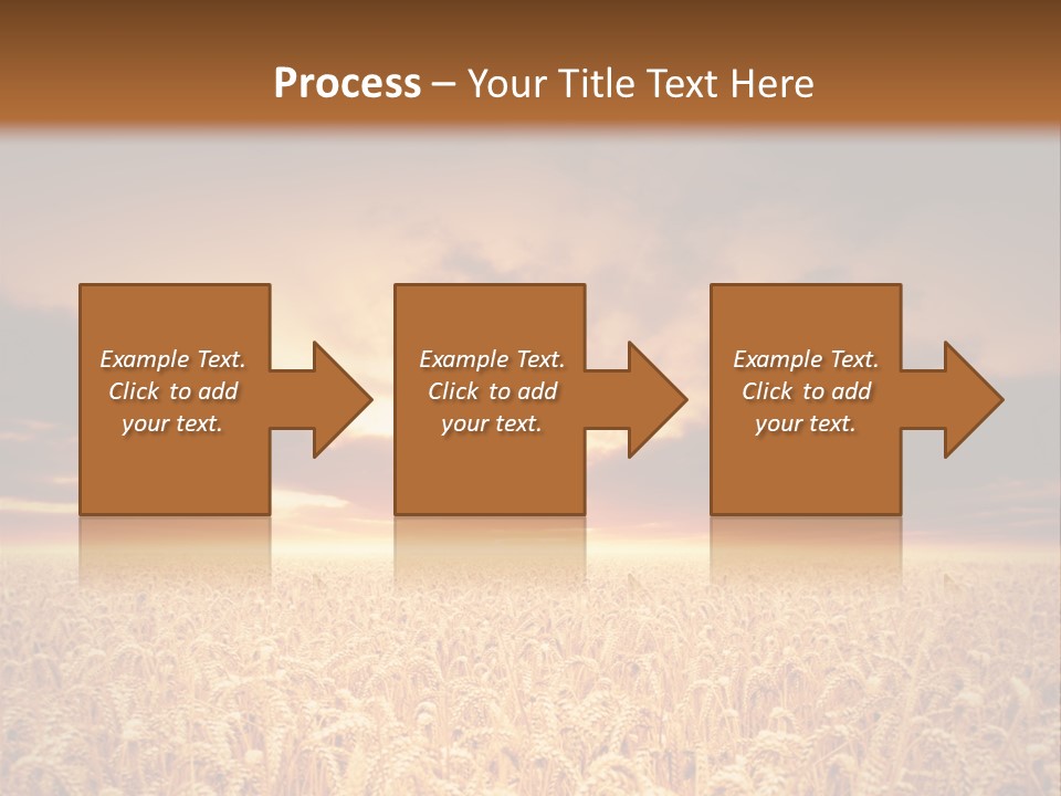 Farm Yellow Cornfield PowerPoint Template