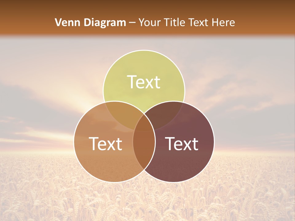 Farm Yellow Cornfield PowerPoint Template