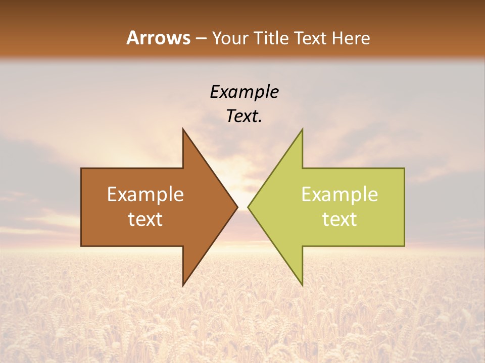 Farm Yellow Cornfield PowerPoint Template