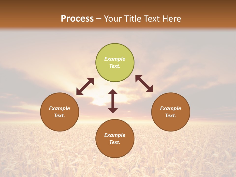 Farm Yellow Cornfield PowerPoint Template