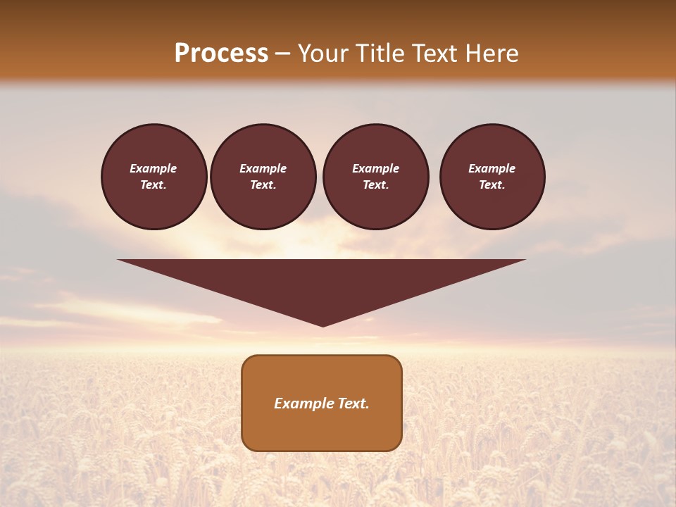Farm Yellow Cornfield PowerPoint Template