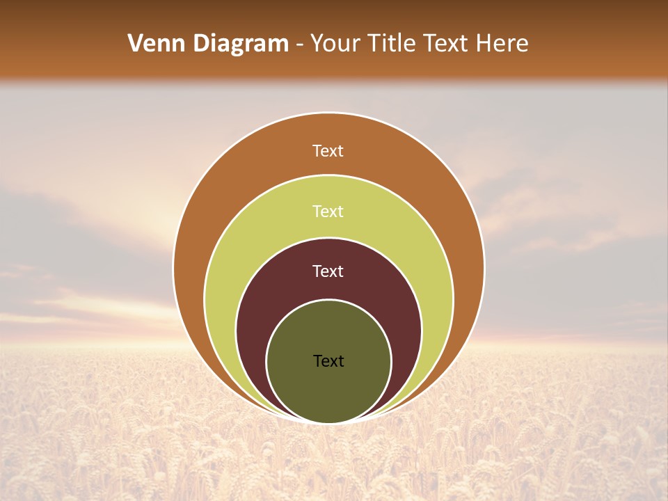 Farm Yellow Cornfield PowerPoint Template