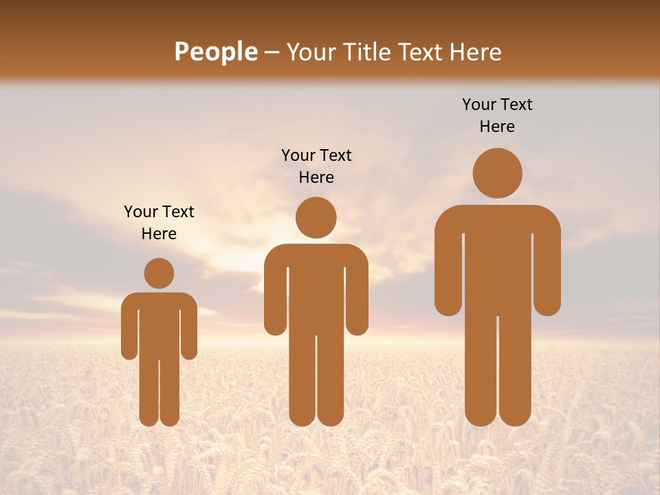 Farm Yellow Cornfield PowerPoint Template