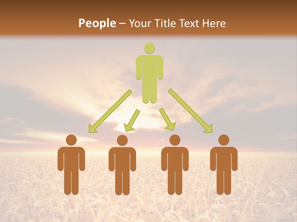 Farm Yellow Cornfield PowerPoint Template