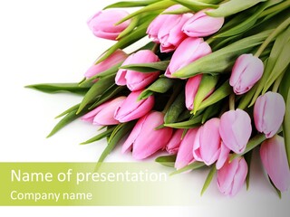 Flora Backgrounds Floral PowerPoint Template