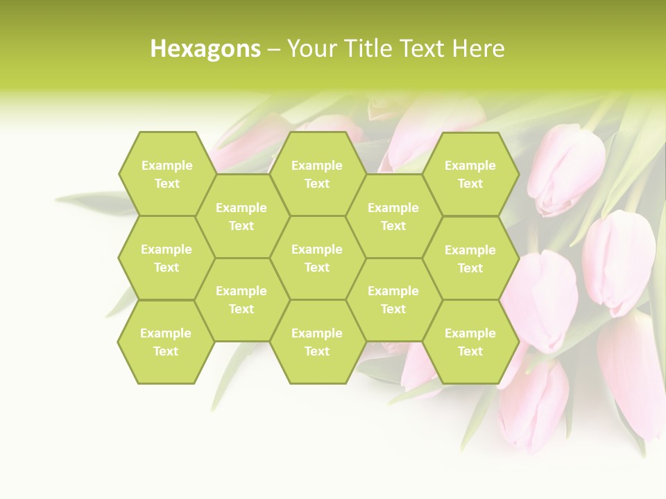 Flora Backgrounds Floral PowerPoint Template
