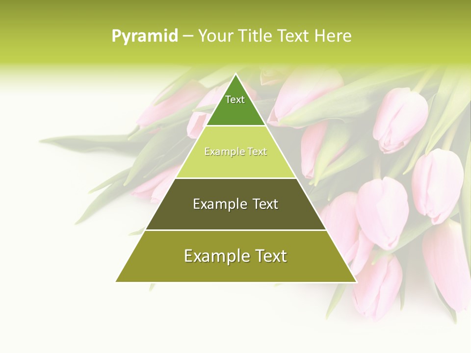 Flora Backgrounds Floral PowerPoint Template