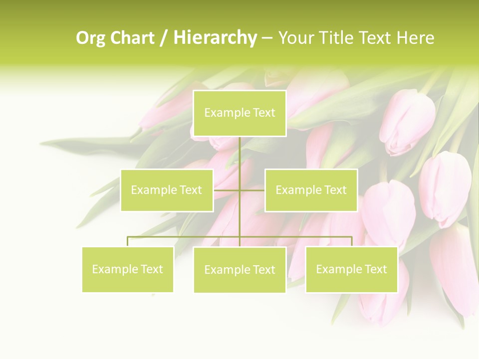 Flora Backgrounds Floral PowerPoint Template