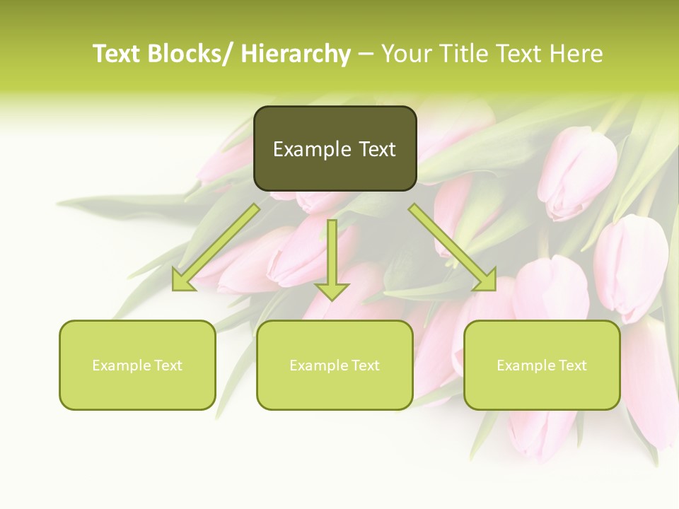 Flora Backgrounds Floral PowerPoint Template