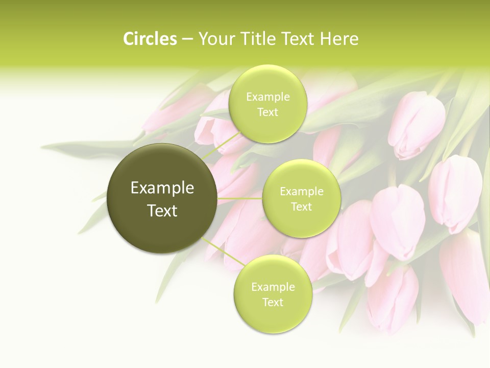 Flora Backgrounds Floral PowerPoint Template