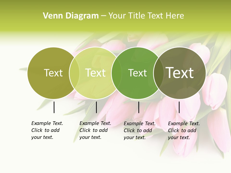 Flora Backgrounds Floral PowerPoint Template