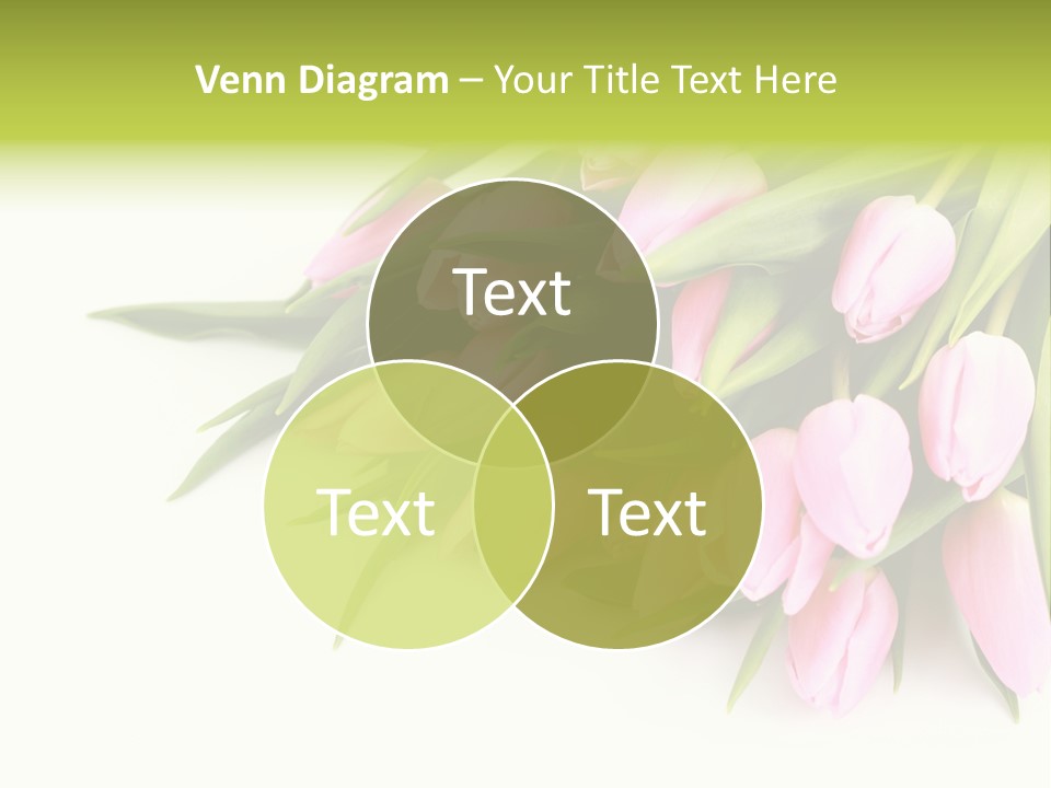 Flora Backgrounds Floral PowerPoint Template
