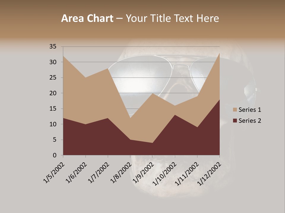 Bone Scary Face PowerPoint Template